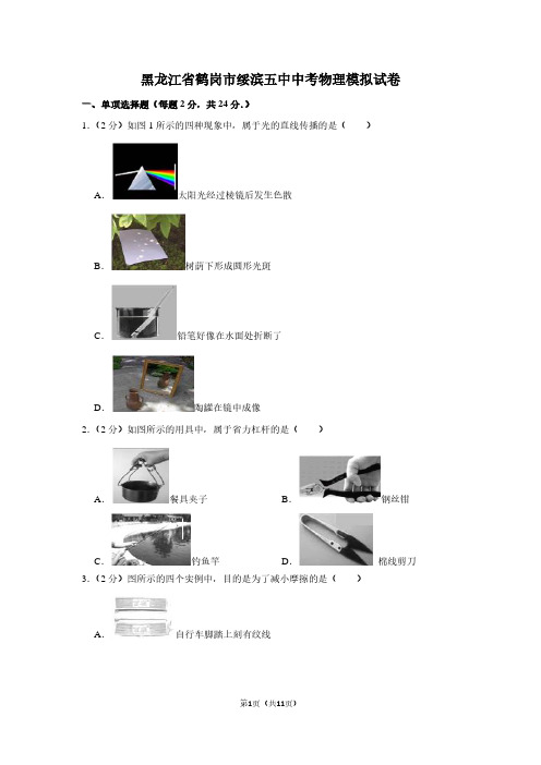 黑龙江省鹤岗市绥滨五中中考物理模拟试卷