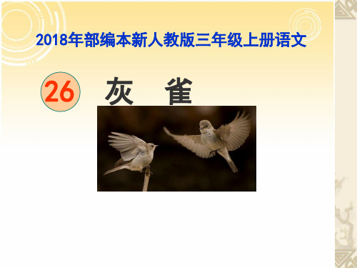 2018新人教版部编本三年级上册册第26课《灰雀》》课件
