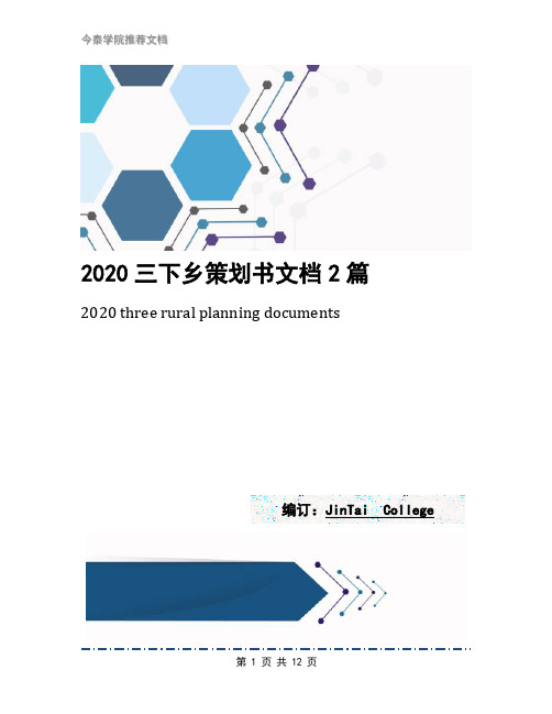 2020三下乡策划书文档2篇
