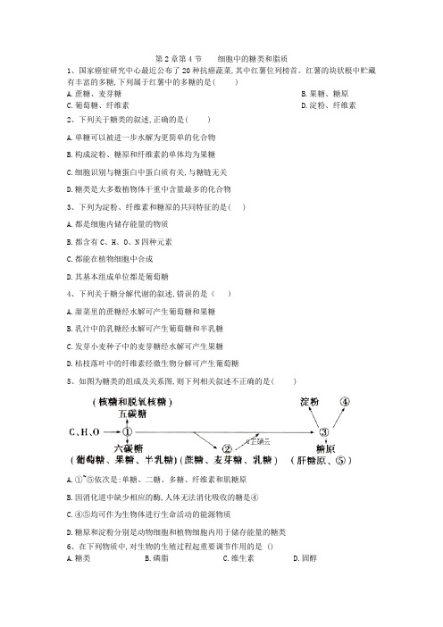 2019-2020学年高中生物人教版必修一课时练：第2章 第4节 细胞中的糖类和脂质 Word版含答案