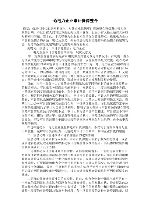 论电力企业审计资源整合