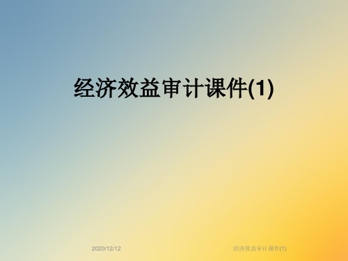 经济效益审计课件(1)