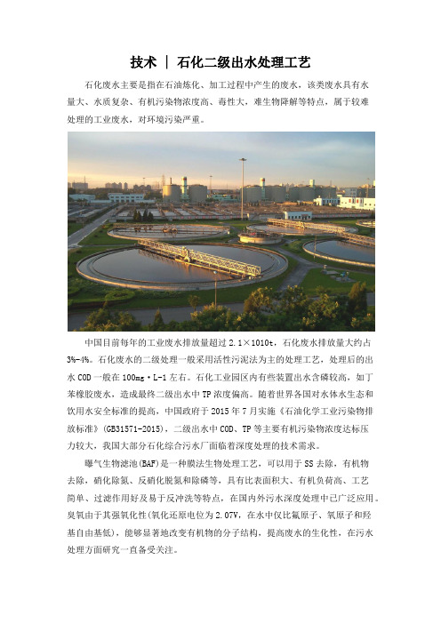 技术：石化二级出水处理工艺