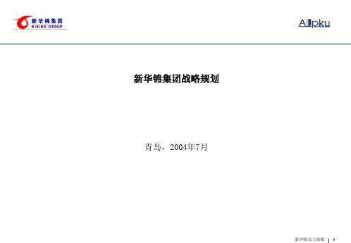 新华锦集团战略规划(最初完整版)