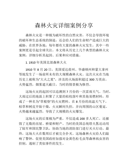 森林火灾详细案例分享