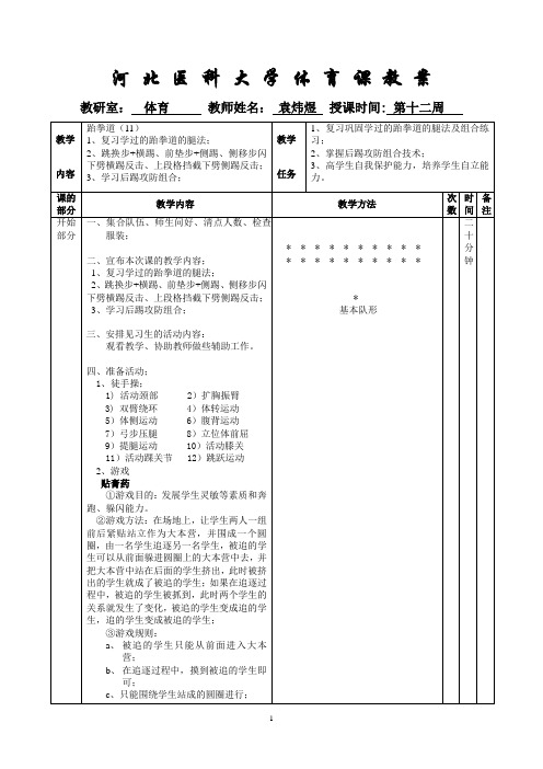 跆拳道12教案