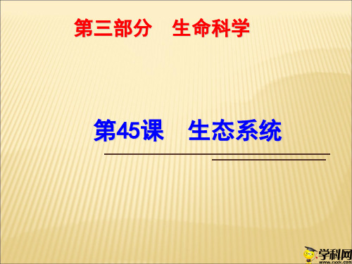 浙江省绍兴市浙教版科学九年级中考复习课件：第45课生态系统(共35张PPT)