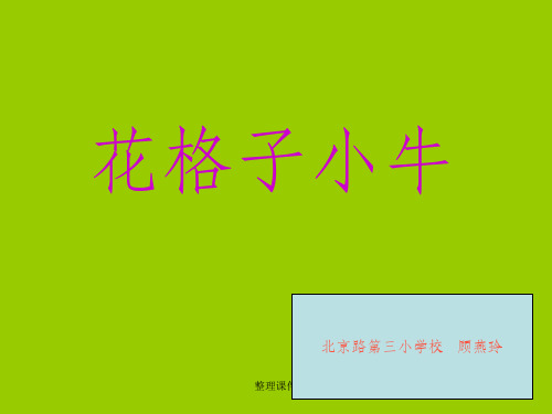 《花格子小牛》课件