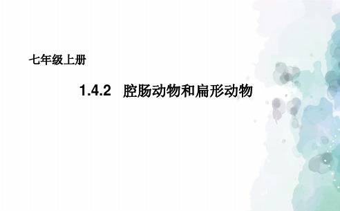 冀少版生物-七年级上册 1.4.2腔肠动物和扁形动物课件