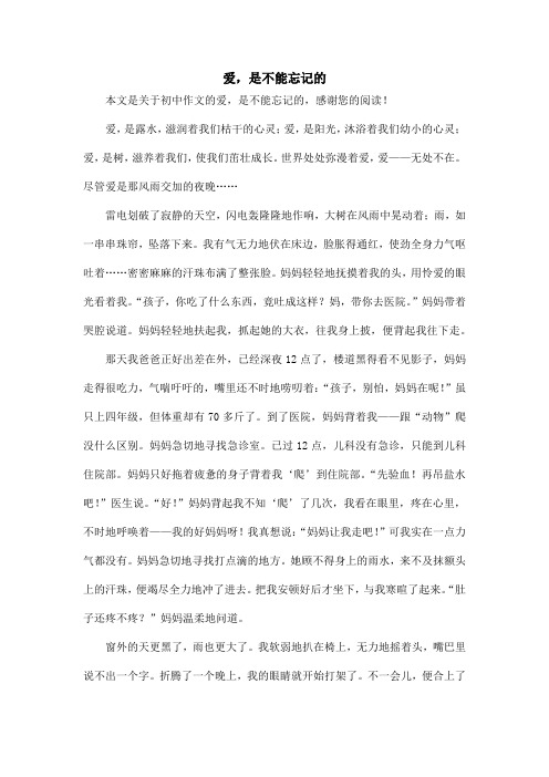 爱,是不能忘记的_初中作文