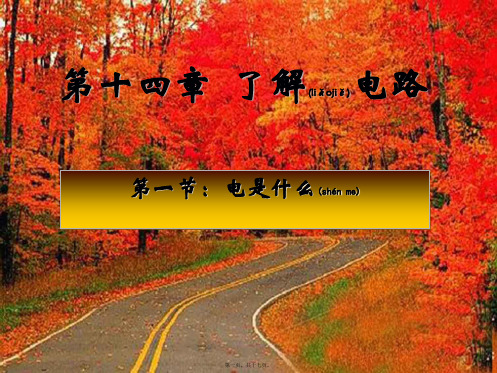 九年级物理全册 第十四章 第一节 电是什么课件