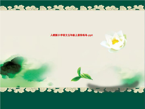 人教版小学语文五年级上册珍珠鸟-ppt