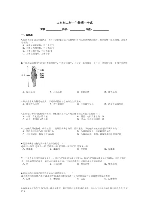 山东初二初中生物期中考试带答案解析
