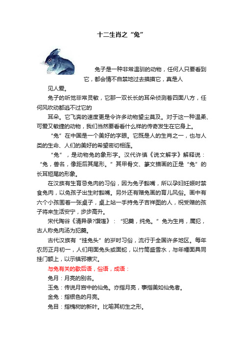 十二生肖之“兔”