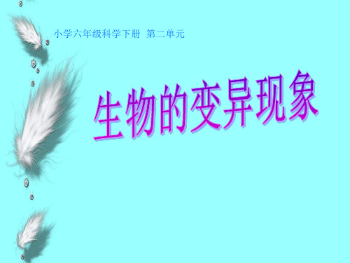 小学科学六年级科学下册课件 -2.2 生物的变异现象(苏教版) (29张)