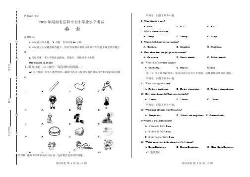 2020年湖南省岳阳中考英语试卷附答案解析版