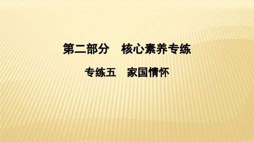 2021年中考历史总复习专题课件★★专练5 家国情怀
