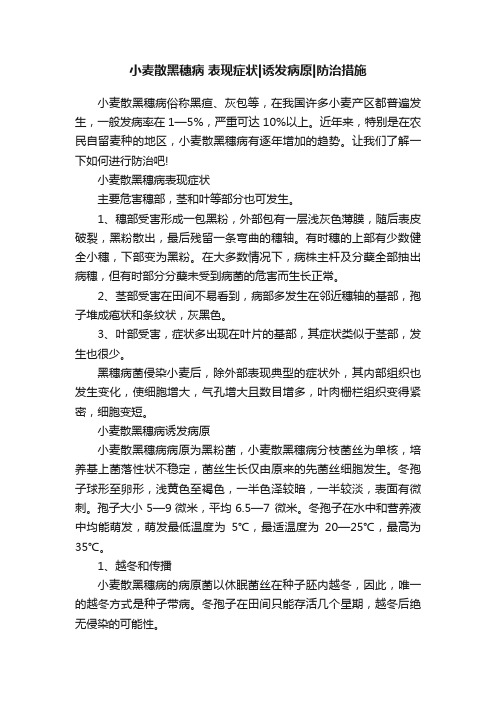 小麦散黑穗病表现症状诱发病原防治措施