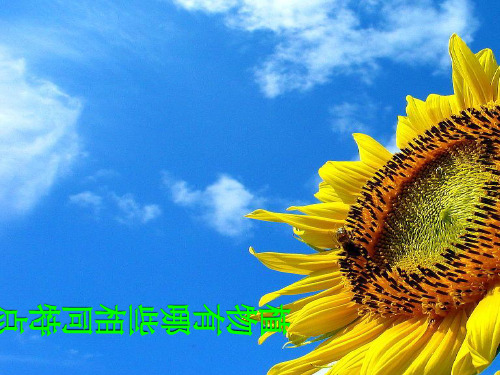 人教版三年级上册科学1.7植物有哪些相同特点ppt课件【精选优质课件】