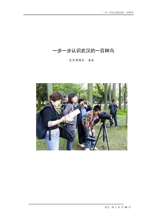一步一步认识武汉的一百种鸟