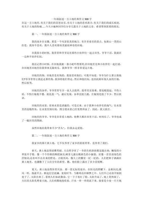 一年级叙述一方土地经典作文500字 