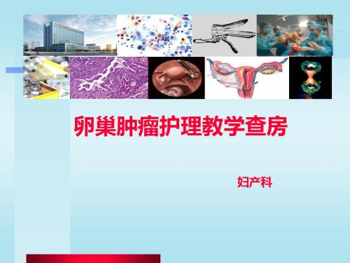 妇产科卵巢癌教学查房ppt课件