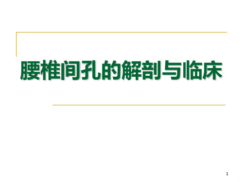 椎间盘及椎间孔的解剖病理PPT课件