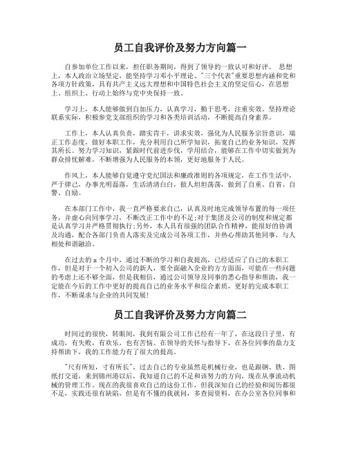 员工自我评价及努力方向员工自我评价和工作目标