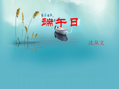 《端午日》ppt课件完美版