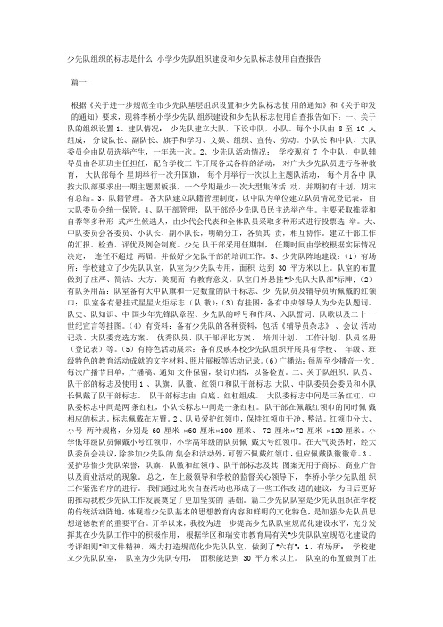 少先队组织的标志是什么 小学少先队组织建设和少先队标志使用自查报告.docx