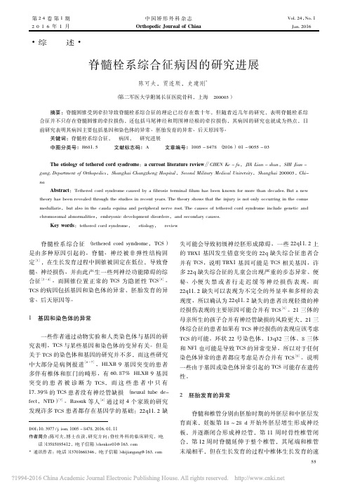 _脊髓栓系综合征病因的研究进展