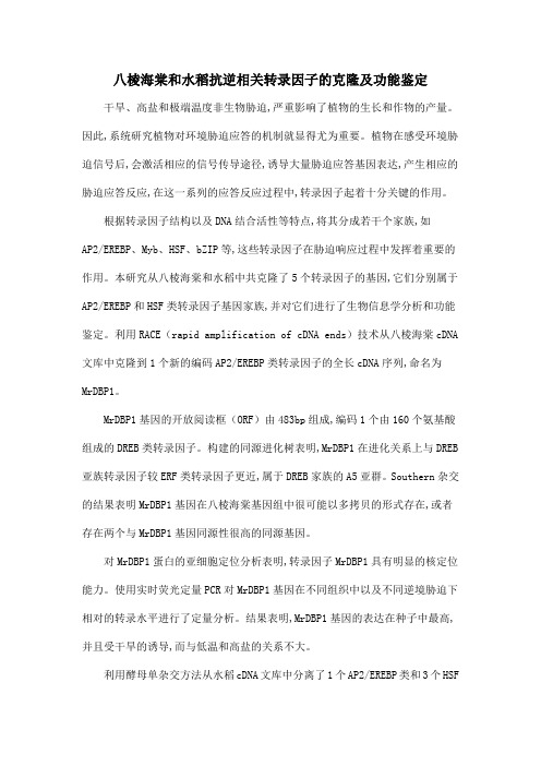 八棱海棠和水稻抗逆相关转录因子的克隆及功能鉴定