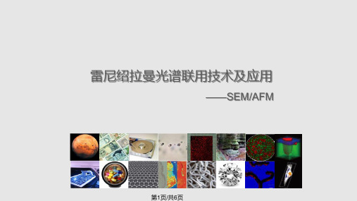 雷尼绍拉曼光谱联用技术及应用PPT课件