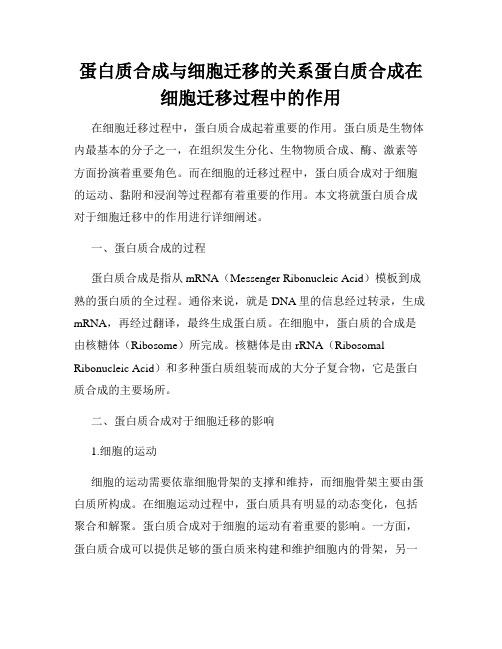 蛋白质合成与细胞迁移的关系蛋白质合成在细胞迁移过程中的作用