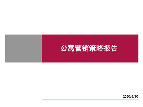 公寓项目开发营销策略报告(66页)