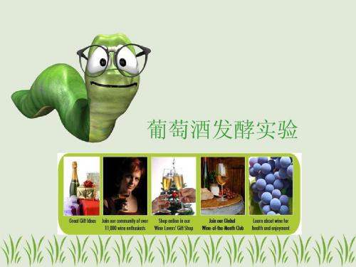 实验七：葡萄酒发酵实验