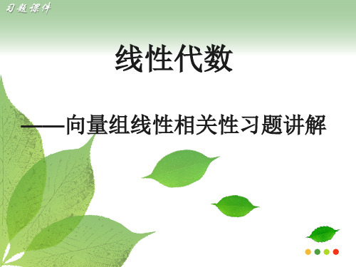 线性代数向量组的线性相关性习题课讲解