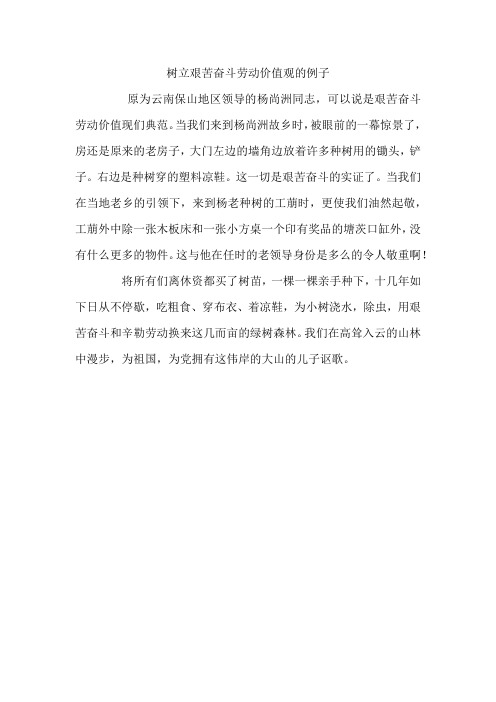 树立艰苦奋斗劳动价值观的例子