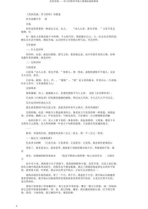 美的发现——学习抒情导学案人教课标版版教案