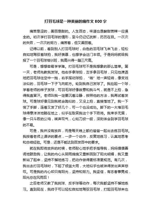 打羽毛球是一种美丽的痛作文800字