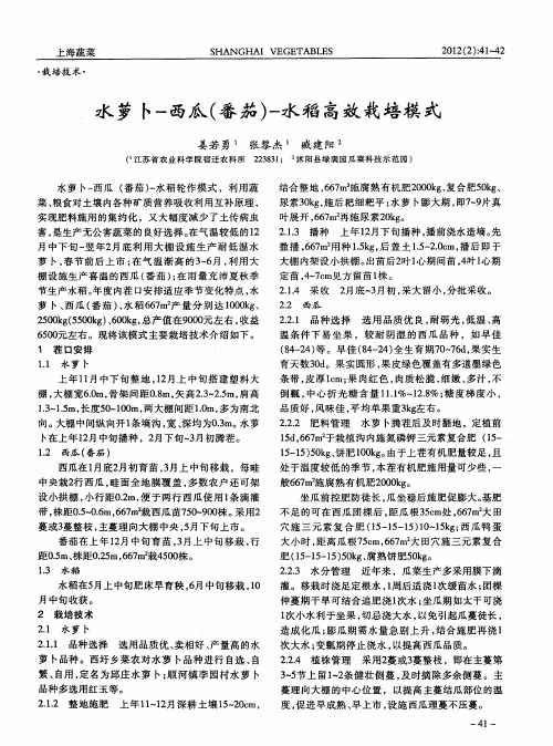水萝卜-西瓜(番茄)-水稻高效栽培模式