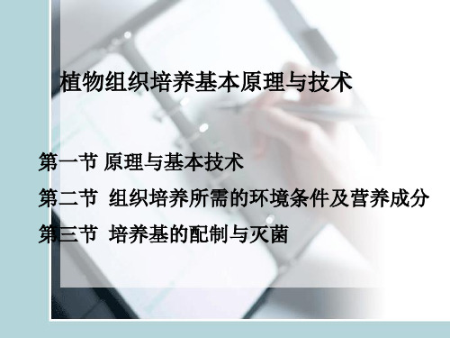 组织培养操作技术及原理