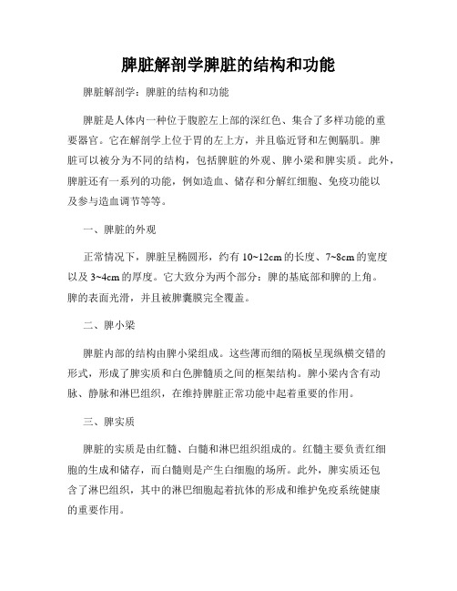 脾脏解剖学脾脏的结构和功能