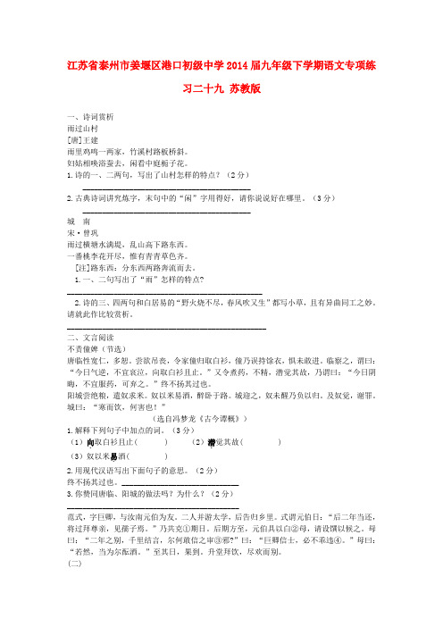 江苏省泰州市姜堰区港口初级中学九年级语文下学期专项练习二十九 苏教版
