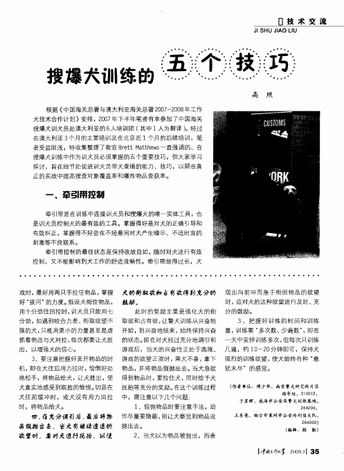 搜爆犬训练的五个技巧
