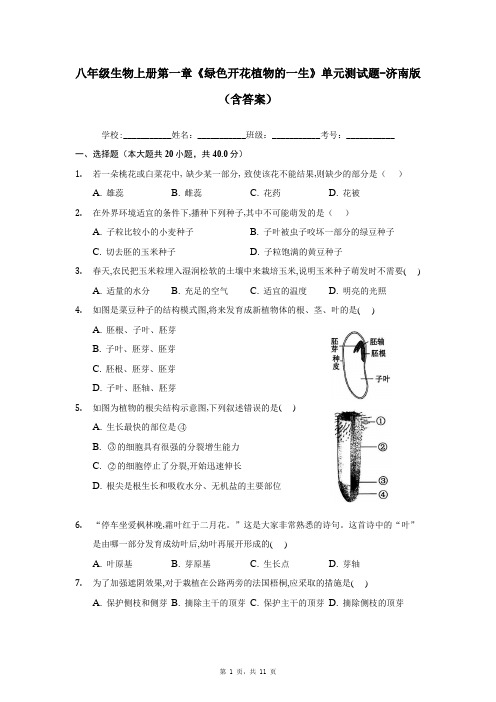 八年级生物上册第一章《绿色开花植物的一生》单元测试题-济南版(含答案)