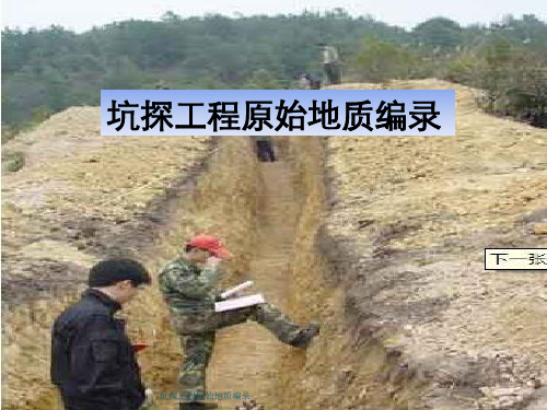 坑探工程原始地质编录