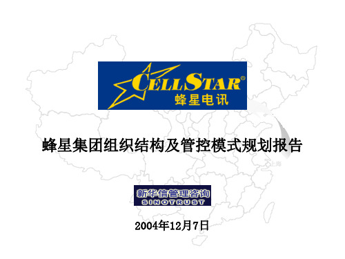 某集团组织结构与管控模式分析(ppt 103页)