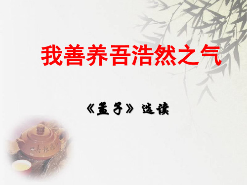 13《我善养吾浩然之气》