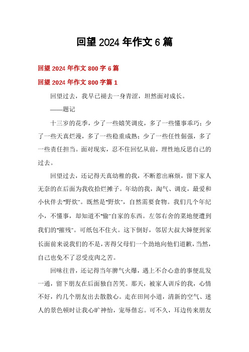 回望2024年作文6篇